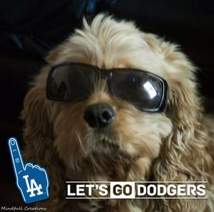 Meet your Posher, Joann